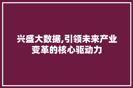 兴盛大数据,引领未来产业变革的核心驱动力