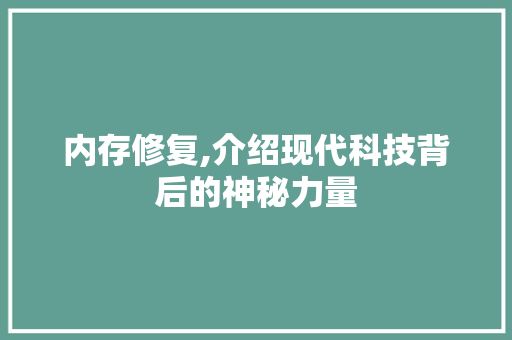 内存修复,介绍现代科技背后的神秘力量