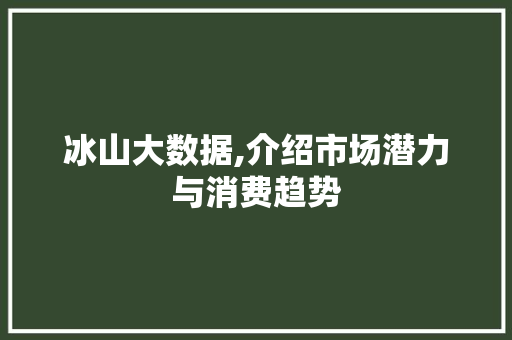 冰山大数据,介绍市场潜力与消费趋势