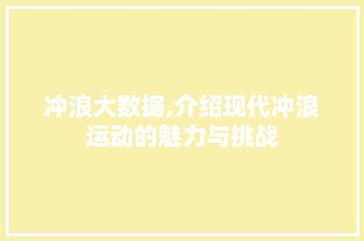 冲浪大数据,介绍现代冲浪运动的魅力与挑战