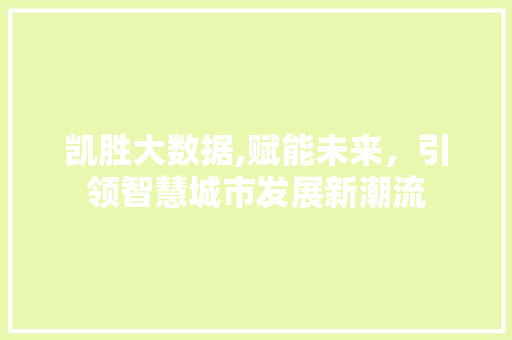 凯胜大数据,赋能未来，引领智慧城市发展新潮流