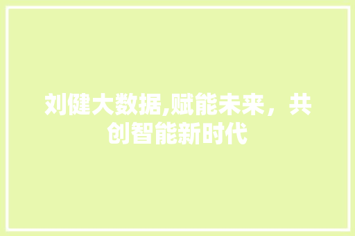 刘健大数据,赋能未来，共创智能新时代