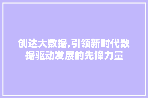创达大数据,引领新时代数据驱动发展的先锋力量