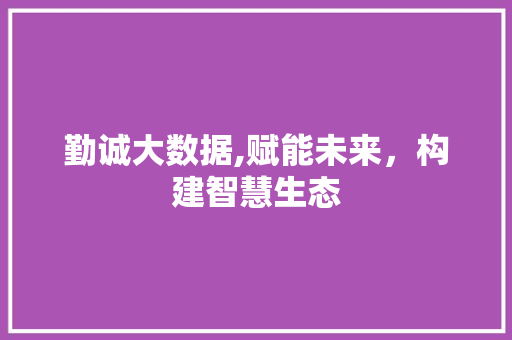 勤诚大数据,赋能未来，构建智慧生态