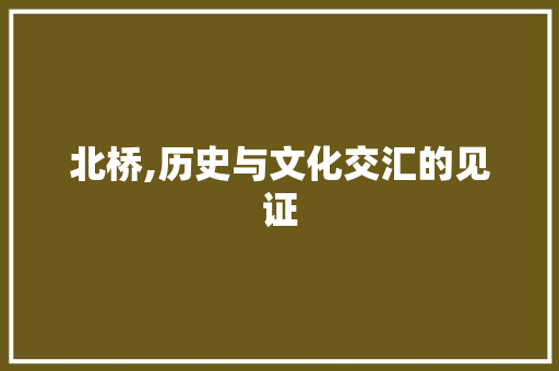 北桥,历史与文化交汇的见证