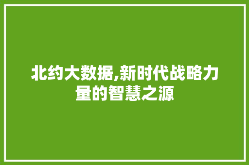 北约大数据,新时代战略力量的智慧之源