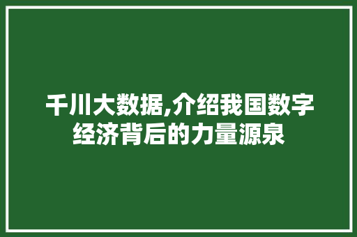 千川大数据,介绍我国数字经济背后的力量源泉