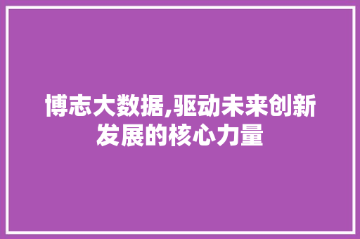 博志大数据,驱动未来创新发展的核心力量