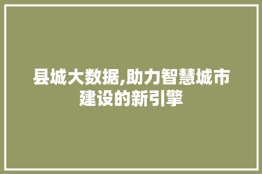 县城大数据,助力智慧城市建设的新引擎
