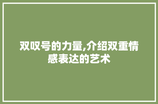 双叹号的力量,介绍双重情感表达的艺术