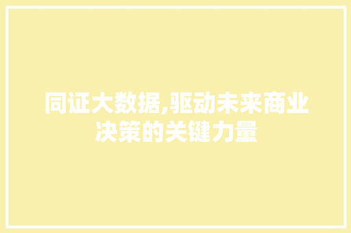 同证大数据,驱动未来商业决策的关键力量