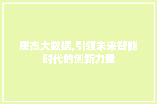 唐杰大数据,引领未来智能时代的创新力量