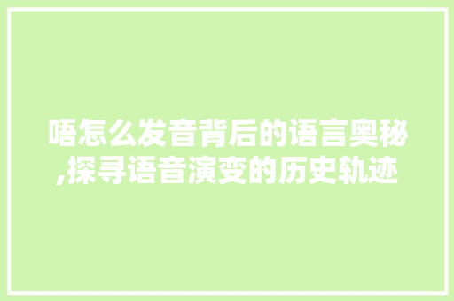 唔怎么发音背后的语言奥秘,探寻语音演变的历史轨迹