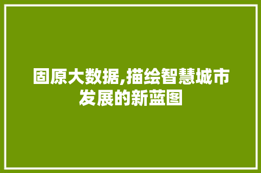 固原大数据,描绘智慧城市发展的新蓝图