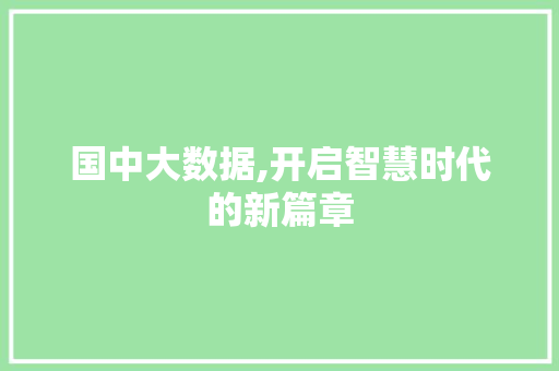 国中大数据,开启智慧时代的新篇章