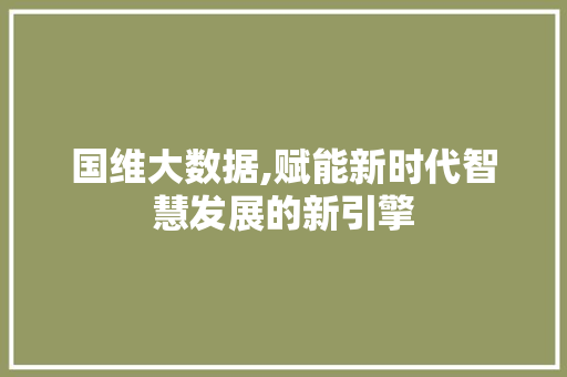 国维大数据,赋能新时代智慧发展的新引擎