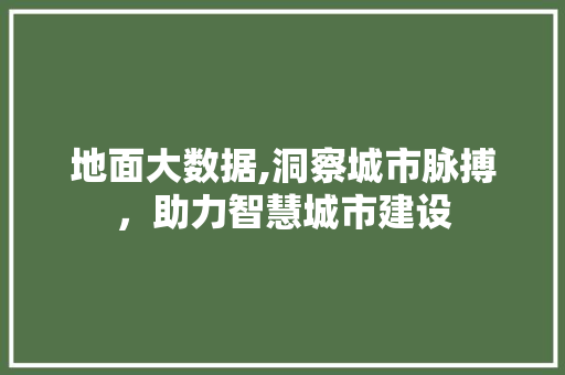 地面大数据,洞察城市脉搏，助力智慧城市建设
