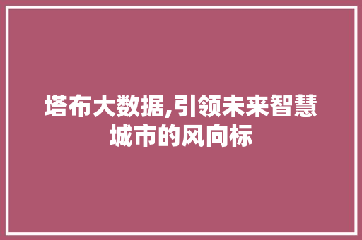塔布大数据,引领未来智慧城市的风向标