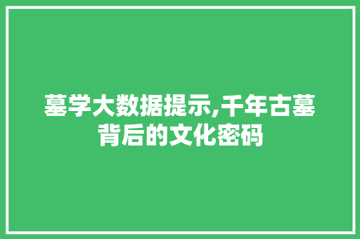 墓学大数据提示,千年古墓背后的文化密码