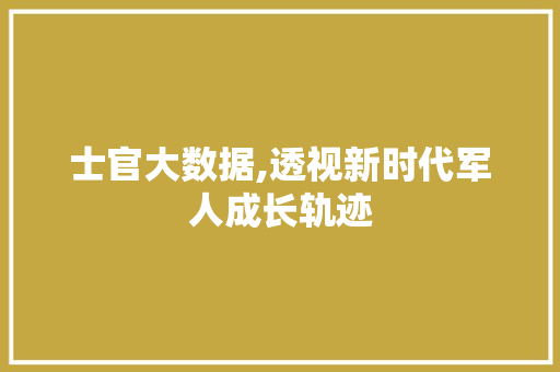 士官大数据,透视新时代军人成长轨迹