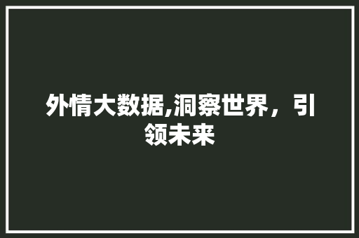 外情大数据,洞察世界，引领未来