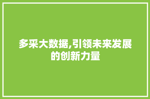 多采大数据,引领未来发展的创新力量