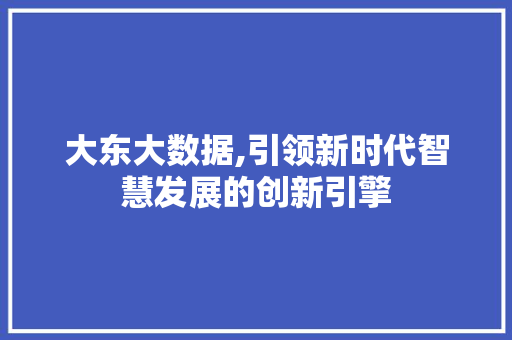 大东大数据,引领新时代智慧发展的创新引擎