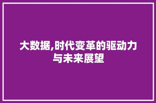 大数据,时代变革的驱动力与未来展望