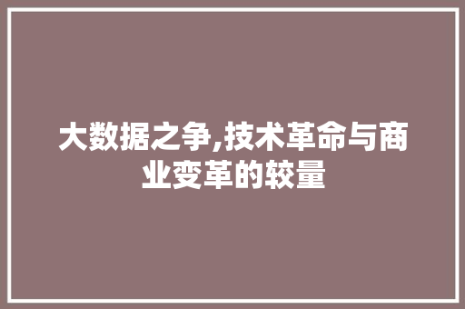 大数据之争,技术革命与商业变革的较量