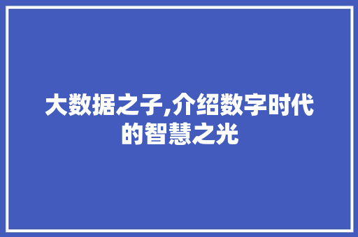 大数据之子,介绍数字时代的智慧之光