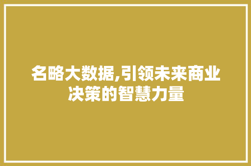 名略大数据,引领未来商业决策的智慧力量
