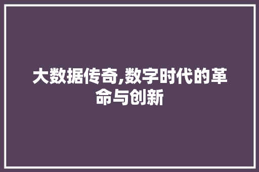 大数据传奇,数字时代的革命与创新