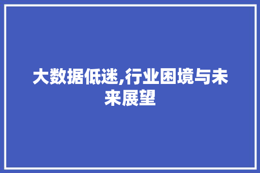 大数据低迷,行业困境与未来展望