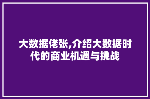 大数据佬张,介绍大数据时代的商业机遇与挑战