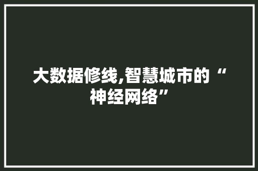 大数据修线,智慧城市的“神经网络”