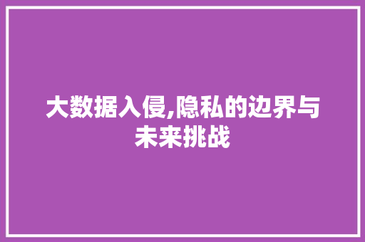 大数据入侵,隐私的边界与未来挑战