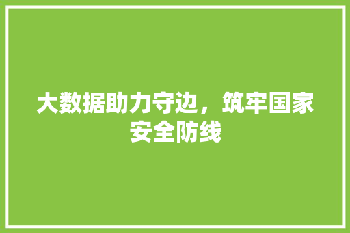 大数据助力守边，筑牢国家安全防线