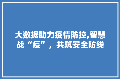 大数据助力疫情防控,智慧战“疫”，共筑安全防线