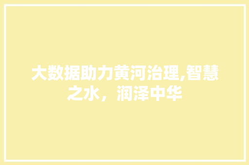 大数据助力黄河治理,智慧之水，润泽中华