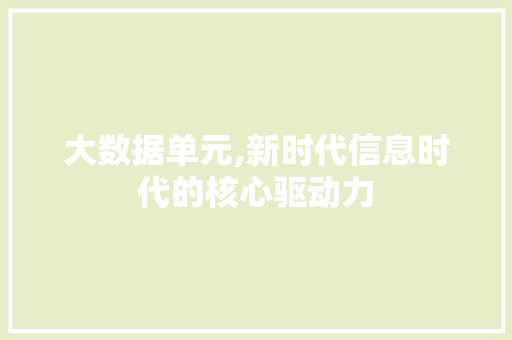 大数据单元,新时代信息时代的核心驱动力