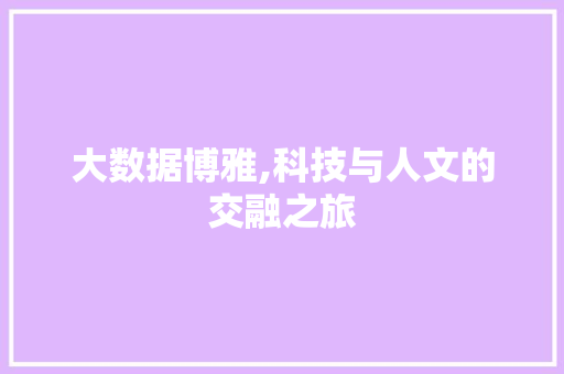 大数据博雅,科技与人文的交融之旅