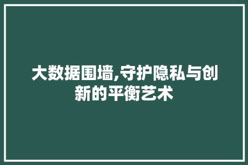 大数据围墙,守护隐私与创新的平衡艺术