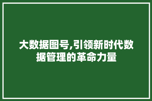 大数据图号,引领新时代数据管理的革命力量