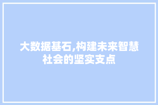 大数据基石,构建未来智慧社会的坚实支点