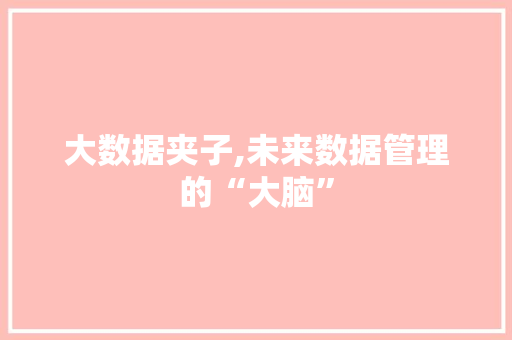 大数据夹子,未来数据管理的“大脑”