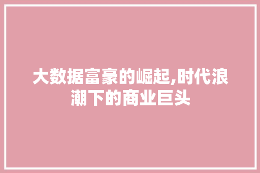 大数据富豪的崛起,时代浪潮下的商业巨头