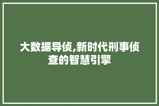 大数据导侦,新时代刑事侦查的智慧引擎