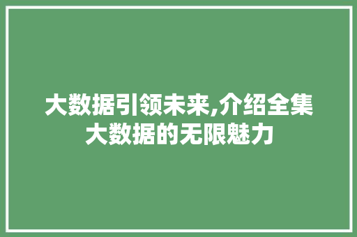 大数据引领未来,介绍全集大数据的无限魅力