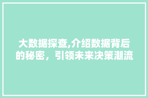 大数据探查,介绍数据背后的秘密，引领未来决策潮流