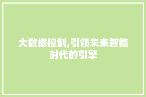 大数据控制,引领未来智能时代的引擎